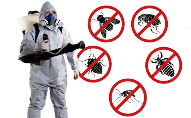 pest control Beaver Dam
